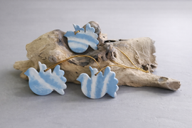 Constellation d’Ailes